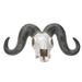 Foundry Select Ram Skull Replica Wall Decore in Gray/White | 4.7 H x 13 W x 7.9 D in | Wayfair 0081E14DAC23403CBAB3795D32D01F8C