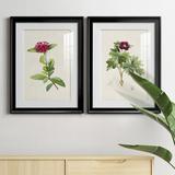 Red Barrel Studio® Pretty Pink Botanicals II Premium Framed Print - Ready To Hang Paper, Bamboo in Black/Blue/Green | 36.5 H x 53 W x 1 D in | Wayfair