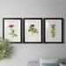 Red Barrel Studio® Pretty Pink Botanicals II Premium Framed Print - Ready To Hang Canvas, in Black/Blue/Green | 36.5 H x 79.5 W x 1 D in | Wayfair