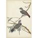 Red Barrel Studio® Graceful Birds I by Vision Studio - Wrapped Canvas Painting Canvas | 12 H x 8 W x 1.25 D in | Wayfair