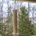 17 Stories Natural Woodgrain Finish Mesh Metal Nut Hopper Bird Feeder Metal in Brown | 15 H x 3.5 W x 3.5 D in | Wayfair