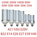 Ampoule LED à Coque en Aluminium Lampadaire Blanc Chaud et Froid 250W 200W 100W 80W 60W 50W 40W