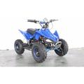 Atv quad motore moto elettrico miniquad 36V 1000W monster rally blu