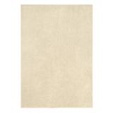 "Leick Home 595991 Dagen Soft Shag Modern Rug Solid Beige Living Room Bedroom Area Rug Rectangle 3'9"" x 5'9"" - Leick Furniture 595991"