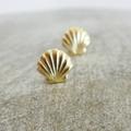 Anthropologie Jewelry | Gold Goldtone Seashell Shell Stud Earrings | Color: Gold | Size: Os