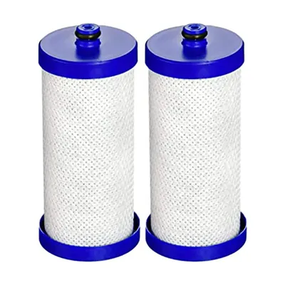 Filtre à eau pour réfrigérateur WF1CB Compatible avec WF1CB WFCB RG100 NGRG2000 WF284 9910