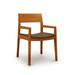 Copeland Furniture Iso Microsuede Arm Chair Wood/Upholstered in Brown | 32.5 H x 21.375 W x 21.25 D in | Wayfair 8-ISO-42-23-Dark Brown Microsuede