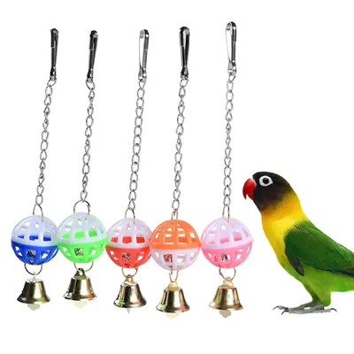 Jouets colorés pour perroquets et perruches balançoire à oiseaux avec clochette décoration de