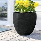 Sol 72 Outdoor™ Acushnet Round Indoor/Outdoor Modern Pot Planter w/ Drainage Hole in Black | 9.2 H x 9.9 W x 9.9 D in | Wayfair