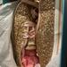 Kate Spade Shoes | Kate Spade Rose Gold Glitter Sneakers | Color: Pink | Size: 6.5