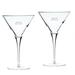 North Dakota 2-Piece 10oz. Luigi Bormioli Titanium Martini Glass Set