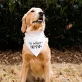 Annonce de grossesse "je reçois un chien humain" Bandana mignon sexe révélation du sexe