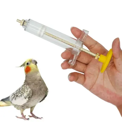 Injecteur d'alimentation pour oiseaux, 10/20 Ml, tête en cuivre, seringues pour perroquets, Pigeons,