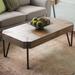 International Caravan Hamburg Contemporary Coffee Table