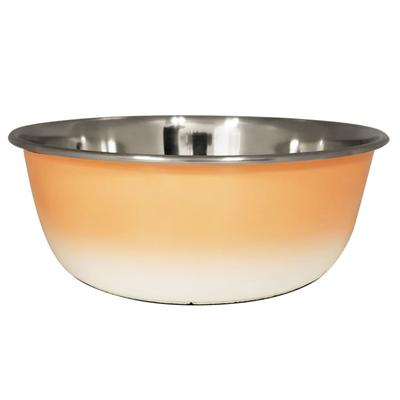 Stainless Steel Deep Dog Bowl - Coral by JoJo Modern Pets in Peach (Size 32 OZ)