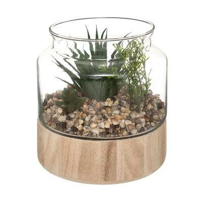 Terrarium en Verre & Bois Brito 17cm Transparent