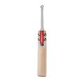 Gray-Nicolls Alpha Gen 1.0 200 Junior Cricket Bat (2022)