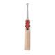 Gray-Nicolls Alpha Gen 1.0 200 Junior Cricket Bat (2022)