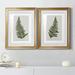 Bay Isle Home™ Fern Studies I - 2 Piece Graphic Art Print Set Paper, Solid Wood in Green | 30.5 H x 85 W x 1.5 D in | Wayfair