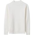 Nvshiyk Men Jumper Rollneck Men's Fall/Winter Half Turtleneck Sweater Men's Youth Warm Pure Color Sweater Warm Knitwear (Color : White, Size : XL)