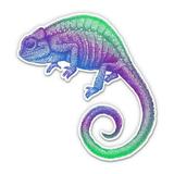 Chameleon Colorful - 5 Vinyl Sticker - For Car Laptop I-Pad - Waterproof Decal