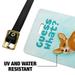 Guess What Corgi Butt Funny Joke Luggage ID Tags Suitcase Carry-On Cards - Set of 2