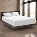 Protect-A-Bed Hypoallergenic & Waterproof Fitted Mattress Protector Polyester | 84 H x 72 W in | Wayfair 83503-DCOM