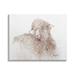 Stupell Industries Shaggy Farm Sheep Curly Hair Abstract Animal Portrait Wall Plaque Art By Debi Coules in Brown | 10 H x 15 W x 0.5 D in | Wayfair