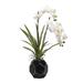D&W Silks Cream Vanda Orchids in Black Glass Bowl