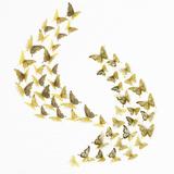 WALPLUS 52pcs 3.1" x 4.5" Gold 3D Butterflies Mix Wall Decals Stickers Home Decor Removable PVC DIY Art Mural