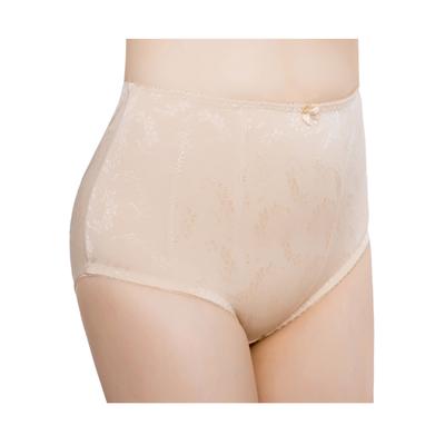 Plus Size Women's 2-Pack Floral Jacquard Shaping Panties by Exquisite Form in Nude (Size XL)