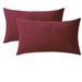 Everly Quinn Set Of 2 Throw Pillow Velvet Cushion Covers Velvet in Red | 14 H x 20 W x 1 D in | Wayfair E2FA47FAFC3E4A0DB7C6BA31014190ED