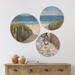 East Urban Home Designart 'Beach Bike 2' Nautical & Coastal Wood Wall Art Set Of 3 Circles Wood in Blue/Brown | 34 H x 44 W x 1 D in | Wayfair