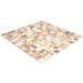 Apollo Tile 12" x 12" Seashell Grid Mosaic Wall & Floor Tile 12.0 H x 12.0 W x 0.078 D in white/yellow/brownShell in White/Beige | Wayfair