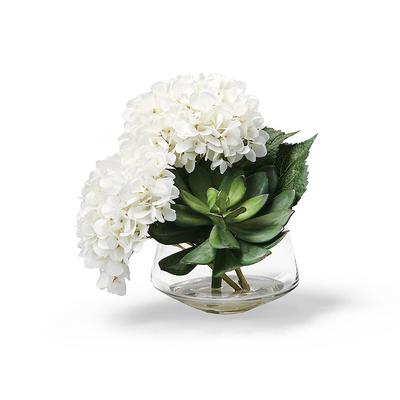Hydrangea Succulent Arrangement - Lilac - Frontgate