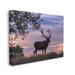 Stupell Industries Wild Elk Sunrise Forest Animal Antlers Morning Sky by - Photograph Canvas in White | 36 H x 48 W x 2 D in | Wayfair