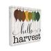 Stupell Industries Hello Harvest Greeting Autumn Leaves Foliage Illustration by CAD Designs - Textual Art Canvas in Black/Green | Wayfair