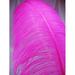 Fuchsia Ostrich Feather Plume Premium 18-24+ inch per Each