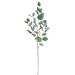 Set of 3 Frosted Green Artificial Eucalyptus Silver Dollar Leaf Stem Plant Greenery Foliage Spray Branch 37.5in