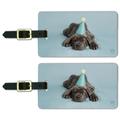 Neapolitan Mastiff Dog Puppy Blue Birthday Party Hat Luggage ID Tags Suitcase Carry-On Cards - Set of 2