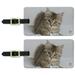 Shorthair Tabby Kitten Cat Computer Mouse Keyboard Luggage ID Tags Suitcase Carry-On Cards - Set of 2