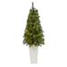 The Holiday Aisle® 4' 9" H Slender Green Pine Cashmere Christmas Tree w/ 100 LED Lights in Green/White | 57 H x 18 W in | Wayfair