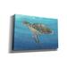 Bayou Breeze 'Ocean Sea Turtle II' By Tim O'toole, Canvas Wall Art, 40"X26" Metal in Blue/Brown | 26 H x 40 W x 1.5 D in | Wayfair