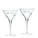 Duquesne Dukes 10 oz. 2-Piece Luigi Bormioli Titanium Martini Glass Set