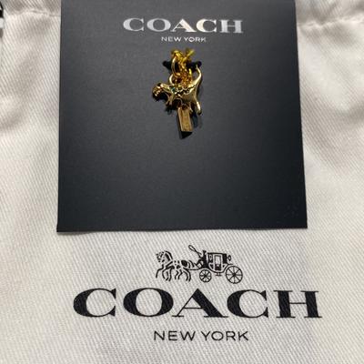Coach Jewelry | Coach Gold Rainbow Pave Rexy Mini Charm Pride Bracelet Necklace Accessory | Color: Gold | Size: Os