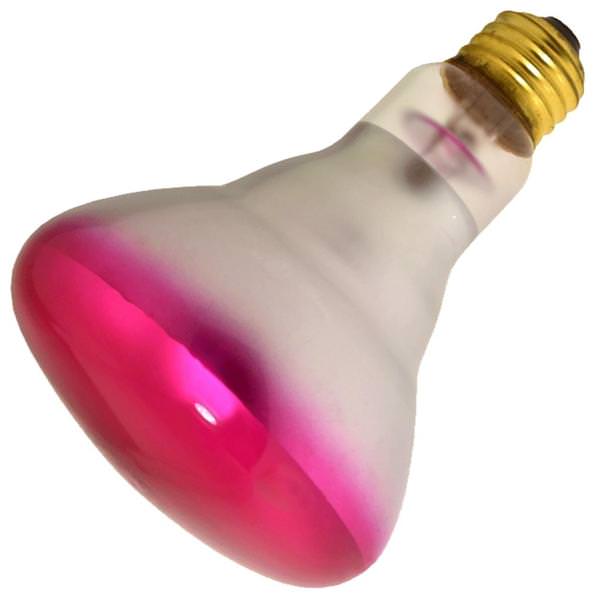Damar 01596 - 65BR30SP/PK 130V SOFT PINK Colored Flood Light Bulb