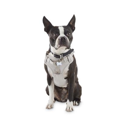 YOULY The Grey Padded Dog Harness, Medium on Petco.com | Shop