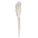 Freeport Park® Zellmer 36" Bleached Plume Reed Bundle (15-20 stems), Preserved | 36 H x 5 W x 5 D in | Wayfair B5163E4630CF41B48C25D231F0F19A3A