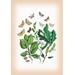 Buyenlarge Moths: Erastria Deceptoria, E. Fasciana, et al. by W. F. Kirby Graphic Art in Green | 36 H x 24 W x 1.5 D in | Wayfair