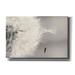 Winston Porter It Only Takes One by Lori Deiter - Wrapped Canvas Photograph Metal in Gray | 40 H x 60 W x 1.5 D in | Wayfair